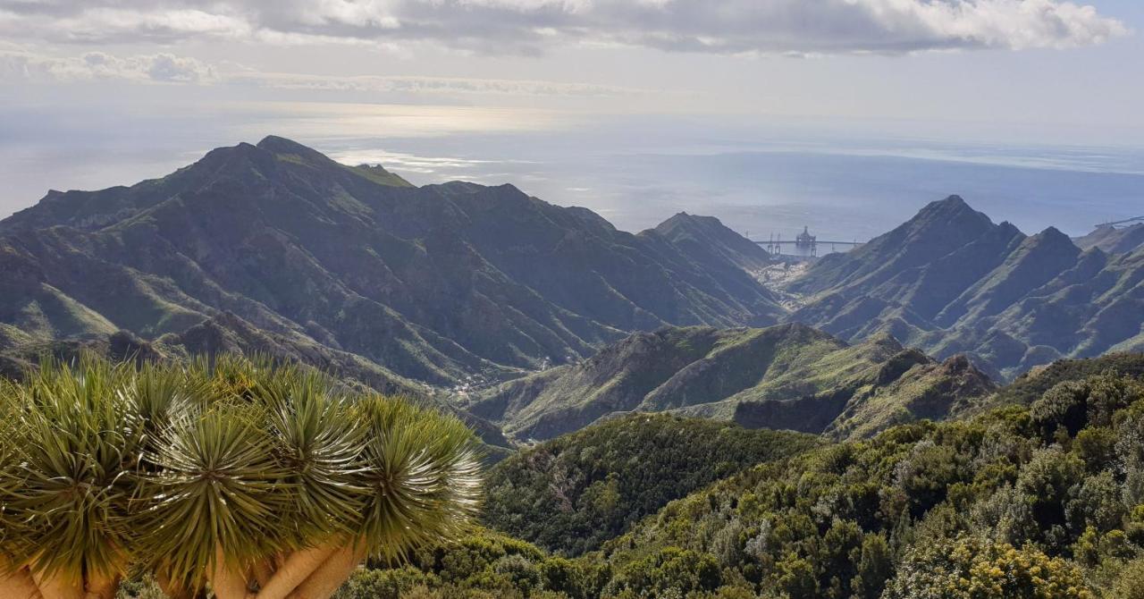 Santa Cruz De Tenerife Toscal Εξωτερικό φωτογραφία